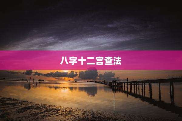八字十二宫查法