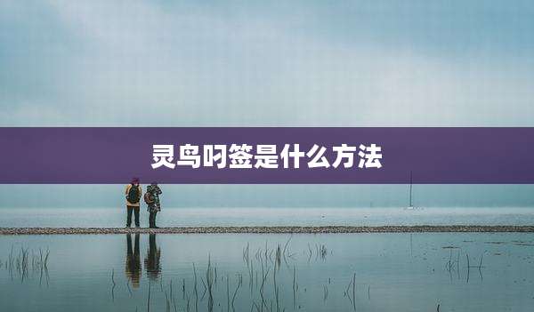 灵鸟叼签是什么方法
