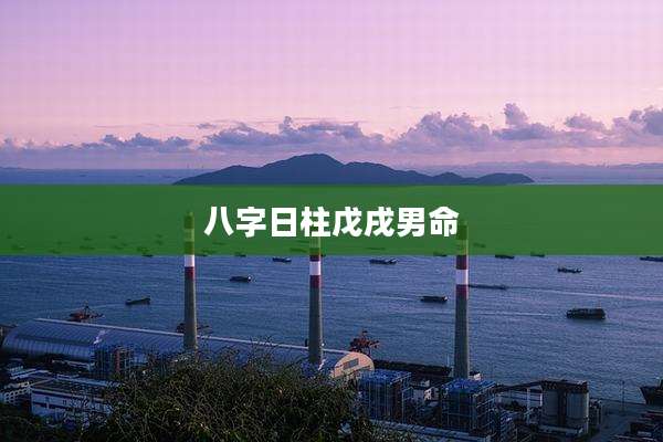 八字日柱戊戌男命