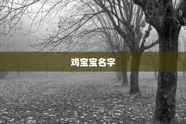 鸡宝宝名字