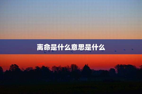 离命是什么意思是什么