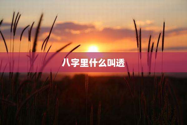 八字里什么叫透