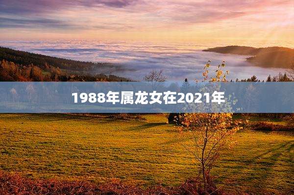1988年属龙女在2021年