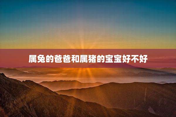 属兔的爸爸和属猪的宝宝好不好
