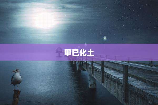 甲巳化土
