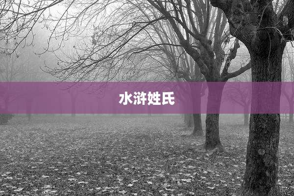 水浒姓氏