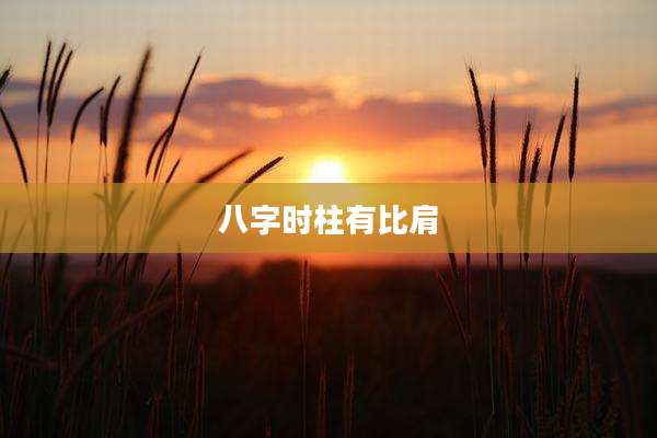 八字时柱有比肩