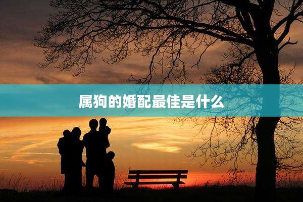 属狗的婚配最佳是什么