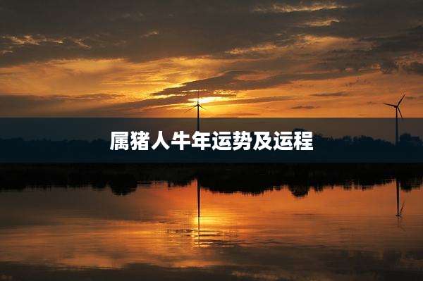 属猪人牛年运势及运程