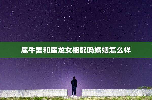 属牛男和属龙女相配吗婚姻怎么样
