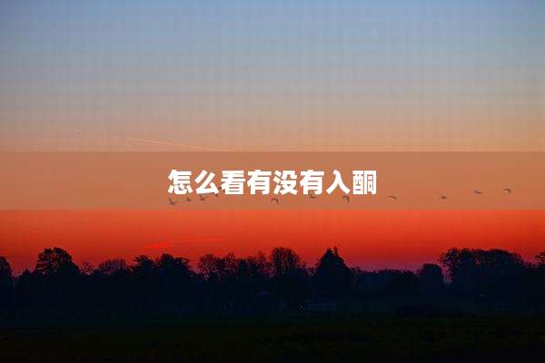 怎么看有没有入酮