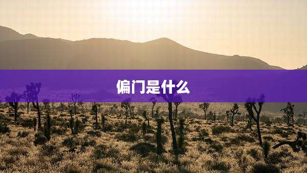 偏门是什么
