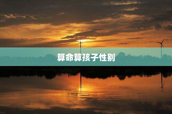 算命算孩子性别