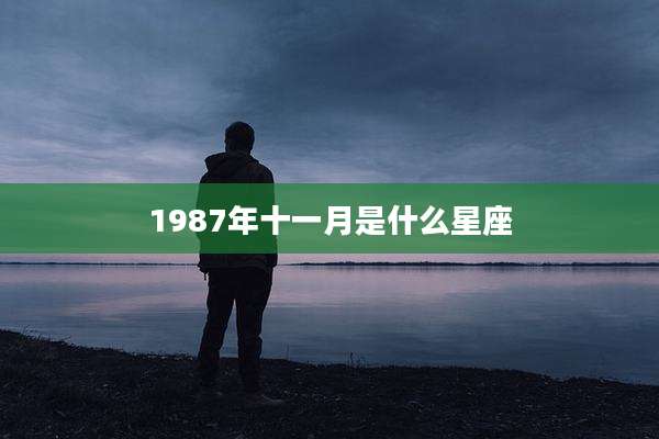 1987年十一月是什么星座
