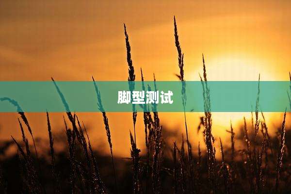 脚型测试