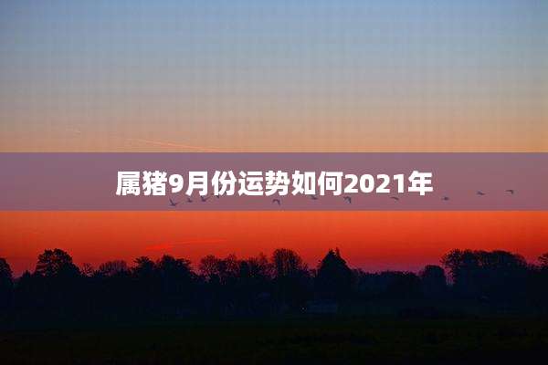 属猪9月份运势如何2021年