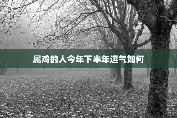 属鸡的人今年下半年运气如何