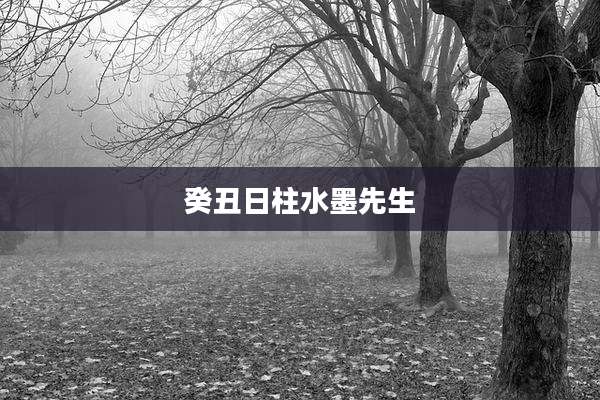 癸丑日柱水墨先生