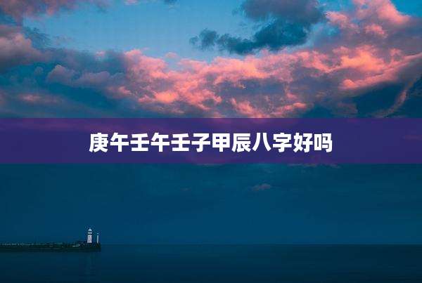 庚午壬午壬子甲辰八字好吗