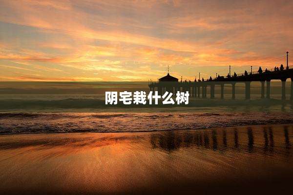 阴宅栽什么树