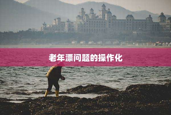 老年漂问题的操作化