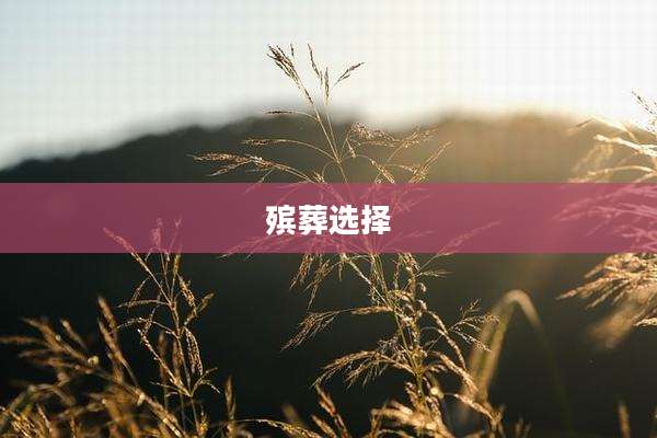 殡葬选择