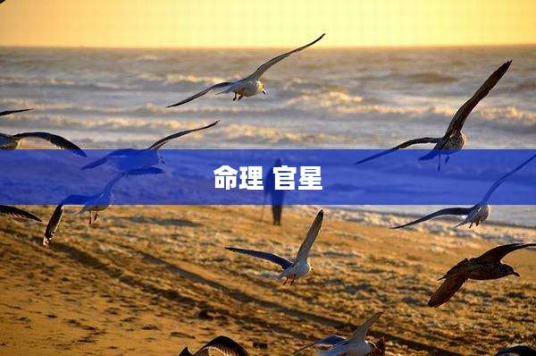 命理 官星