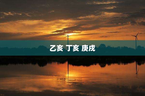 乙亥 丁亥 庚戌