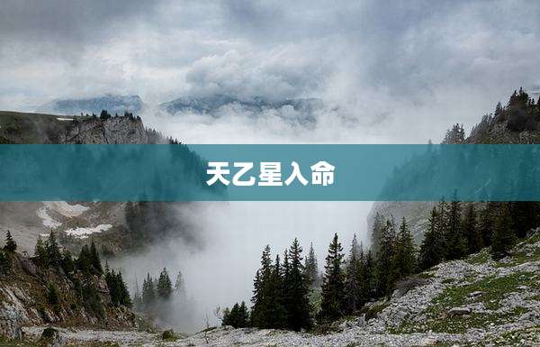 天乙星入命