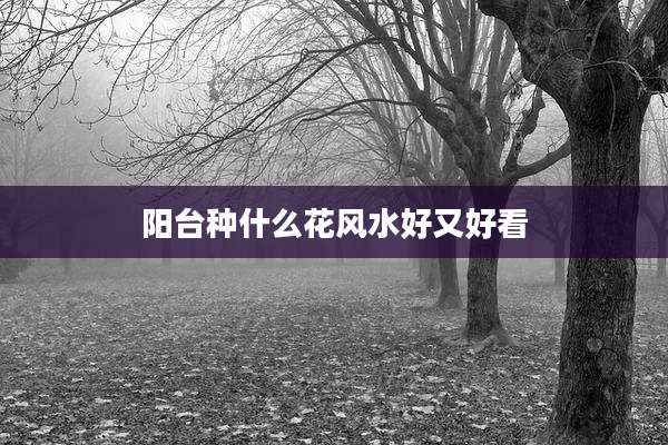 阳台种什么花风水好又好看