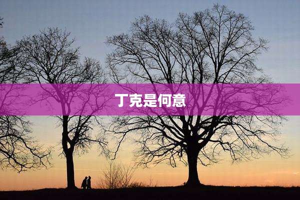 丁克是何意