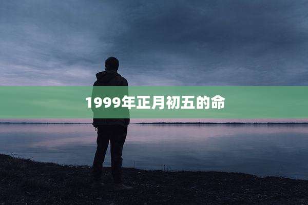 1999年正月初五的命