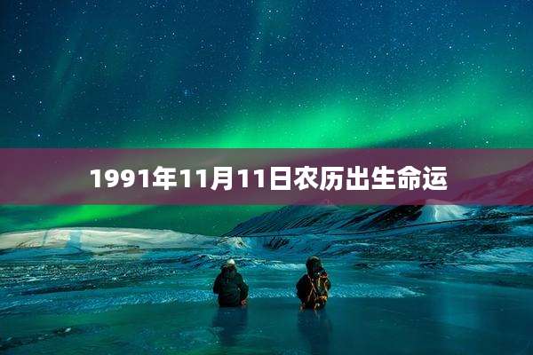 1991年11月11日农历出生命运