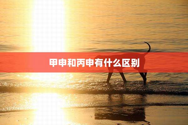 甲申和丙申有什么区别