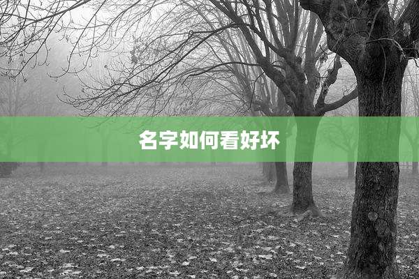 名字如何看好坏