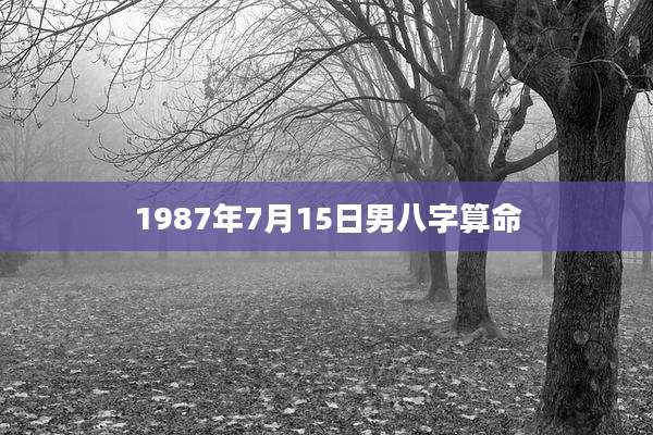 1987年7月15日男八字算命