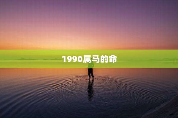 1990属马的命