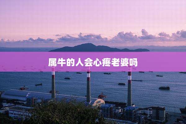 属牛的人会心疼老婆吗