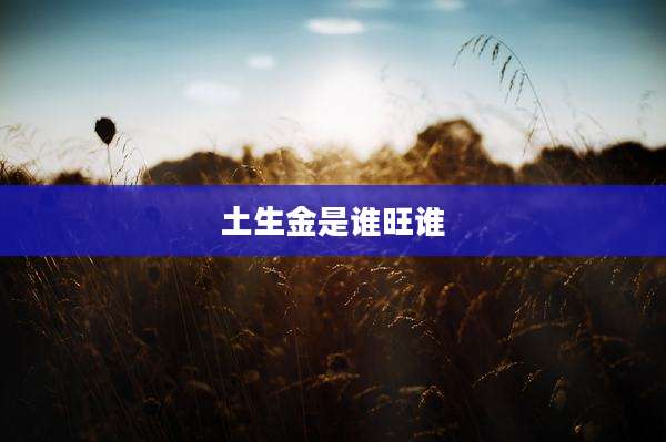 土生金是谁旺谁