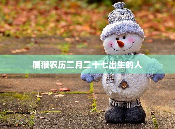 属猴农历二月二十七出生的人