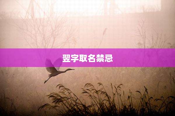 翌字取名禁忌