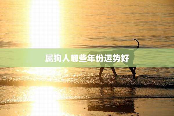 属狗人哪些年份运势好