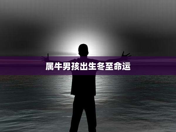 属牛男孩出生冬至命运