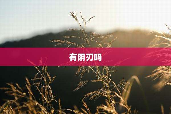 有阴刃吗