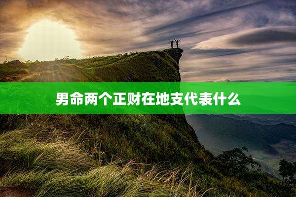 男命两个正财在地支代表什么