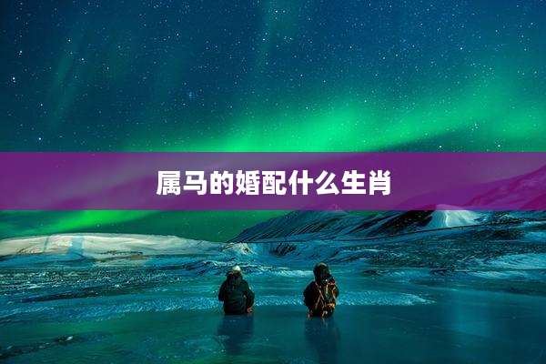 属马的婚配什么生肖