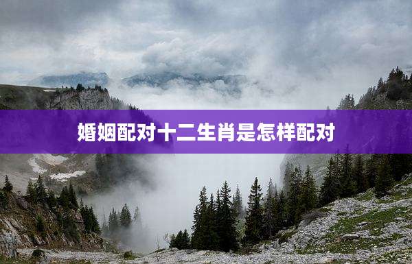 婚姻配对十二生肖是怎样配对