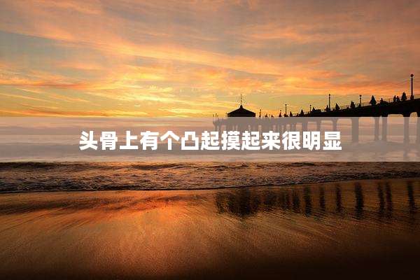 头骨上有个凸起摸起来很明显