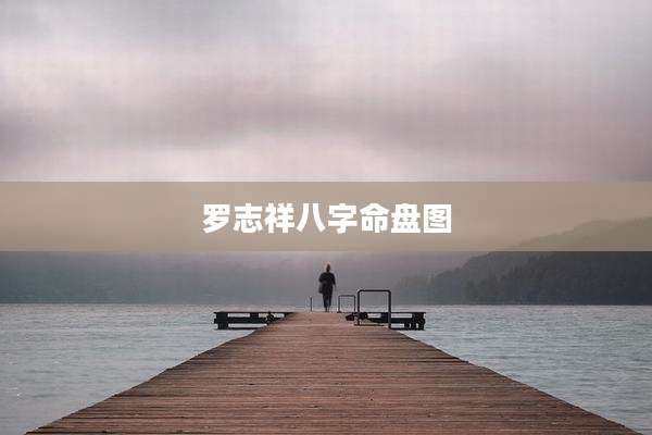 罗志祥八字命盘图