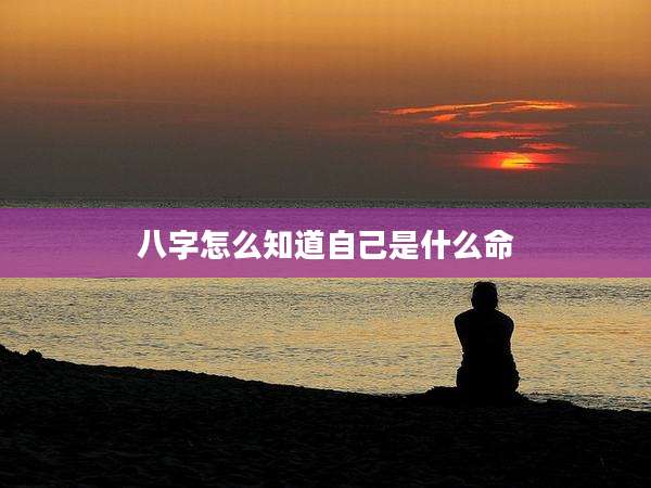 八字怎么知道自己是什么命